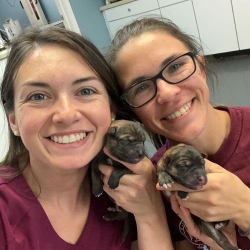 About Staunton River Vet Clinic Vet In VA 24121