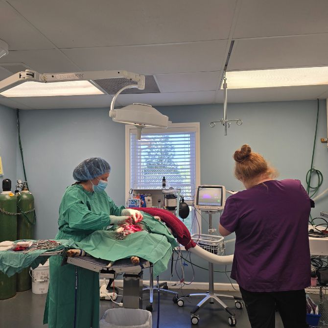 surgery room