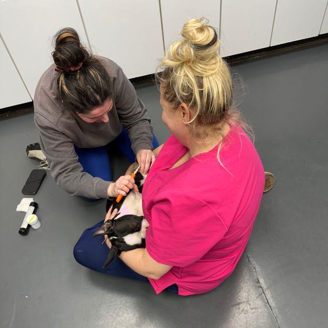 welness-img Two women sit on the floor do wellness checkup