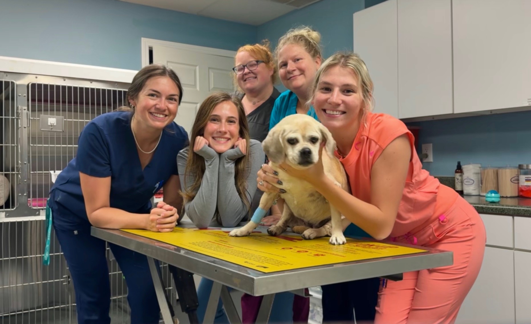 Vets smile around a small dog on an exam table