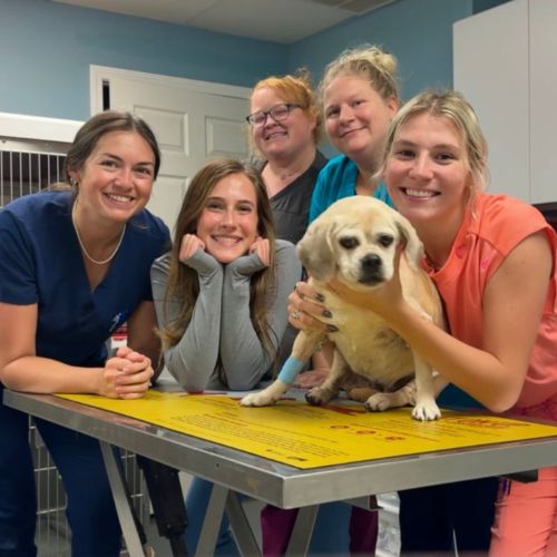 A group of women smiling and posing with a dog on a table