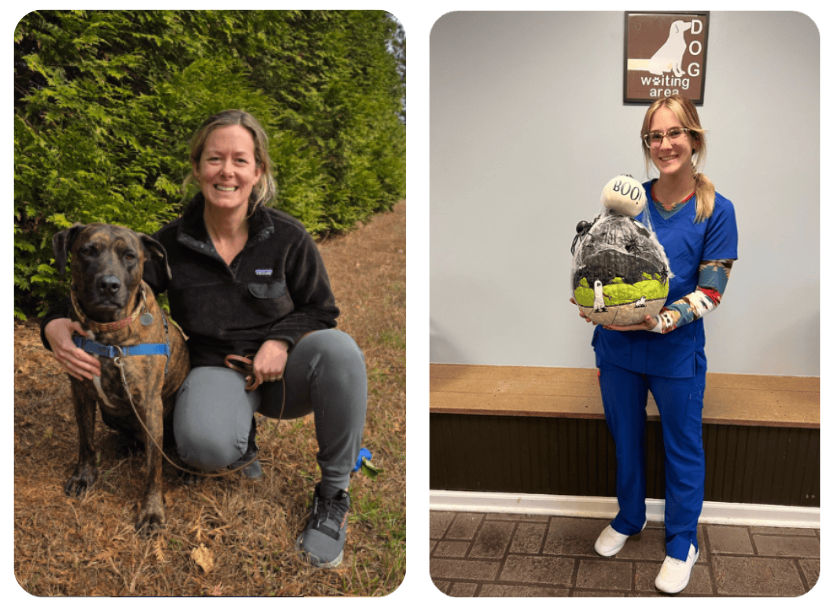Our Veterinary Team